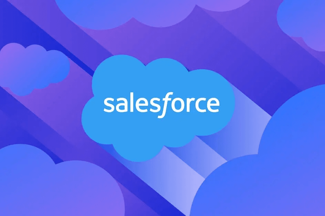 SalesForce Training in Sion