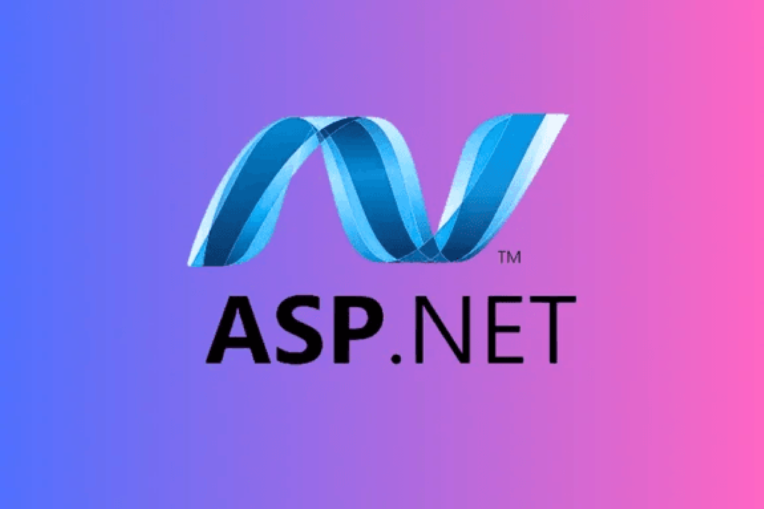 ASP .NET Training in Sion