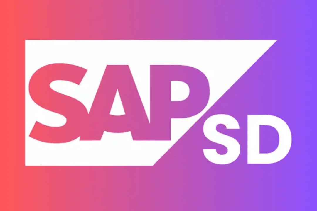 SAP SD Online Training in Washington DC